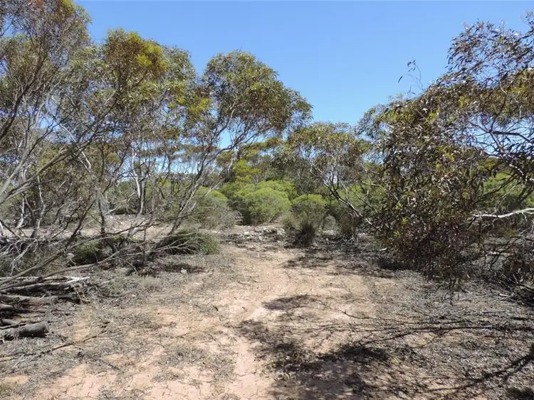 Third view of Homely land listing, Lot 3 Coalfield Road, Moorlands SA 5301
