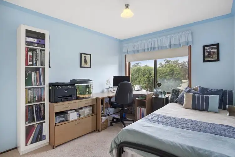 Seventh view of Homely house listing, 35 Quinalup Street, Gwandalan NSW 2259