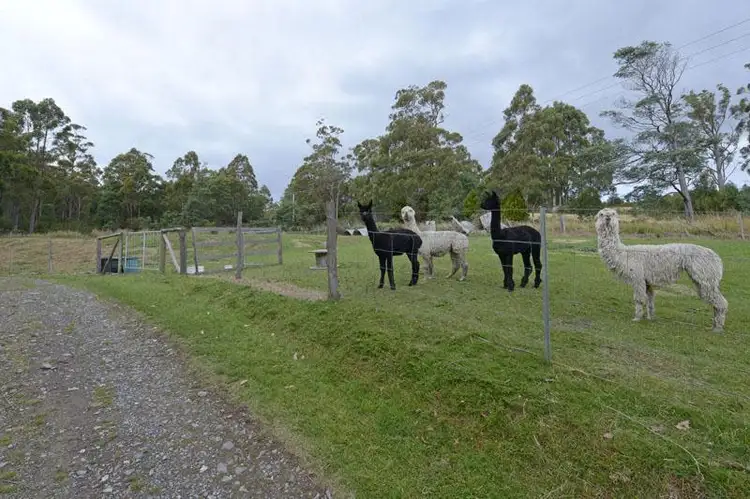 Third view of Homely house listing, 220 Hastings Cave Road, Hastings TAS 7109