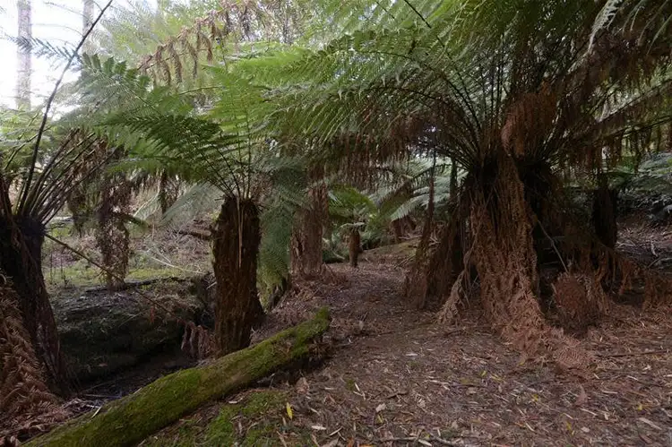 Fourth view of Homely house listing, 220 Hastings Cave Road, Hastings TAS 7109