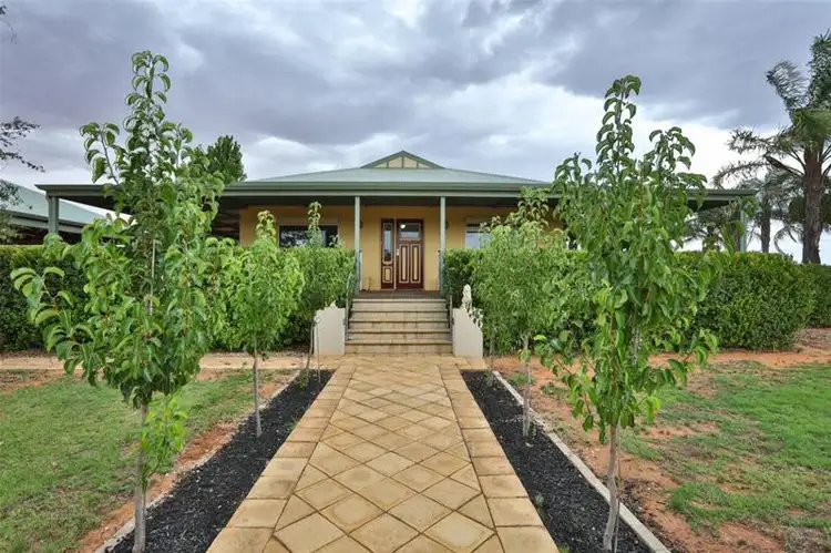 Main view of Homely house listing, 229 Main Avenue, Merbein South VIC 3505