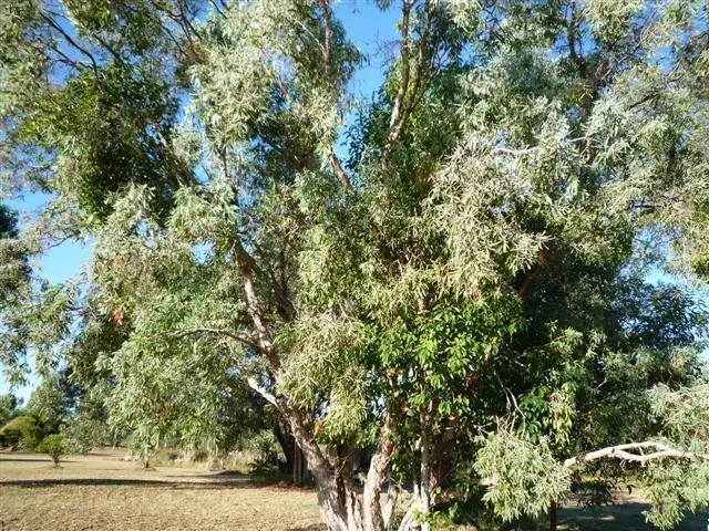 Sixth view of Homely land listing, Address available on request