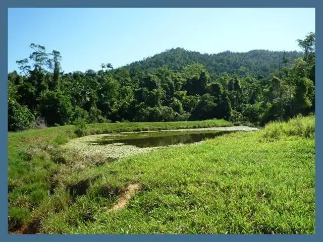 LOT 14 Bingil Bay Road, Bingil Bay QLD 4852