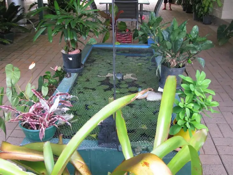 Sixth view of Homely house listing, Address available on request