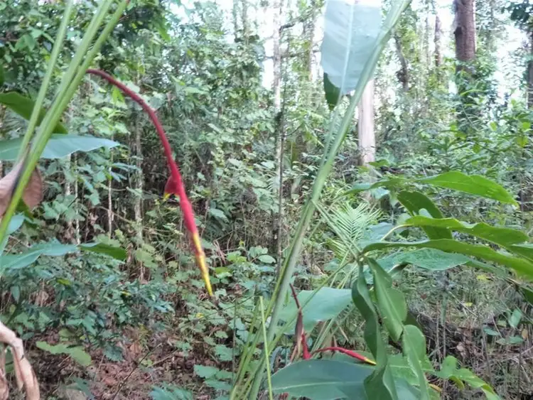 Sixth view of Homely land listing, Address available on request