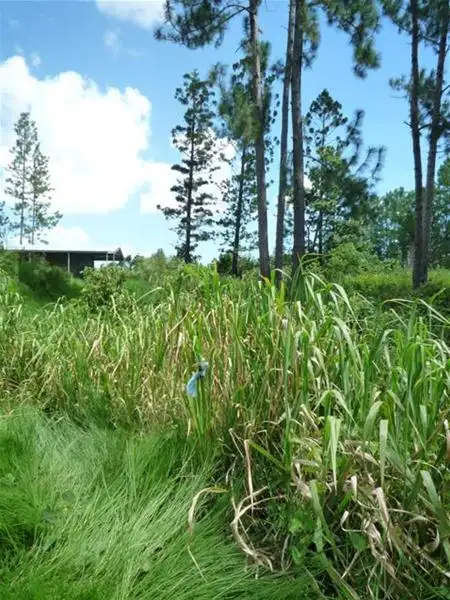 Fifth view of Homely land listing, Address available on request