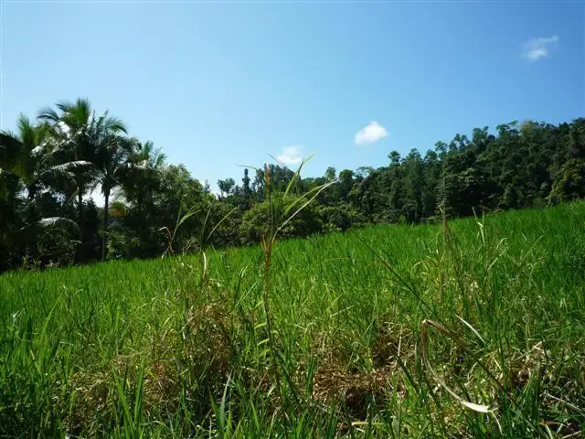 Third view of Homely land listing, Address available on request