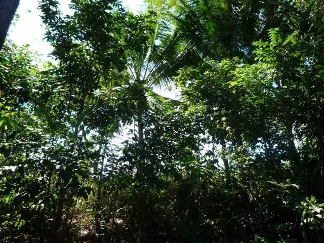 Fourth view of Homely land listing, Address available on request