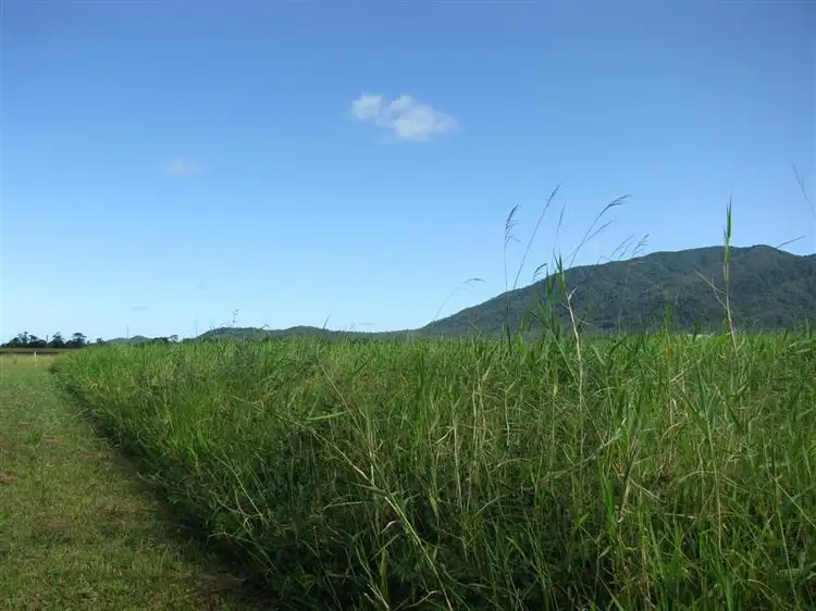 Second view of Homely land listing, LOT 202/202 Crossan Road, Midgenoo QLD 4854