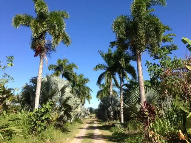 Third view of Homely land listing, LOT 3/3 Shell Pocket Road, El Arish QLD 4855