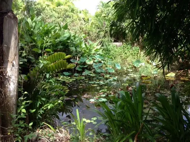 Seventh view of Homely land listing, LOT 3/3 Shell Pocket Road, El Arish QLD 4855