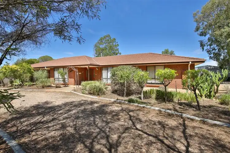 23 Newton Avenue, Irymple VIC 3498