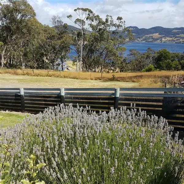 Third view of Homely house listing, 78 Walters Road, Wattle Grove TAS 7109