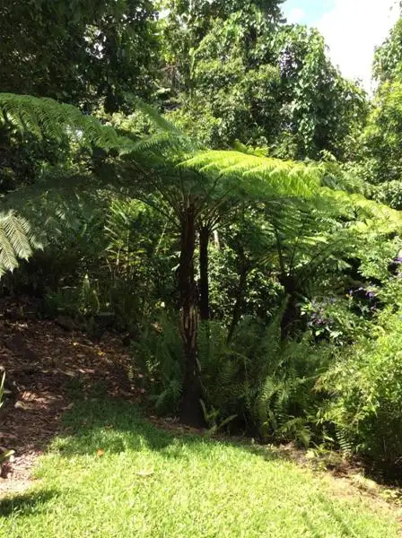 Fifth view of Homely rural property listing, 144 Azzopardi Road, Japoonvale QLD 4856