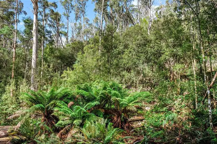 Fifth view of Homely house listing, 122 Waggs Gully Road, Ranelagh TAS 7109
