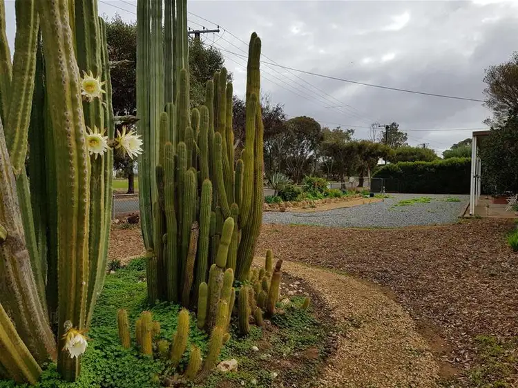 Fifth view of Homely house listing, 13 & 15 Little Anne Street, Mannum SA 5238