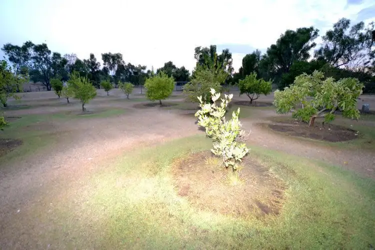 Seventh view of Homely house listing, 31 Meissners Road, Biloela QLD 4715