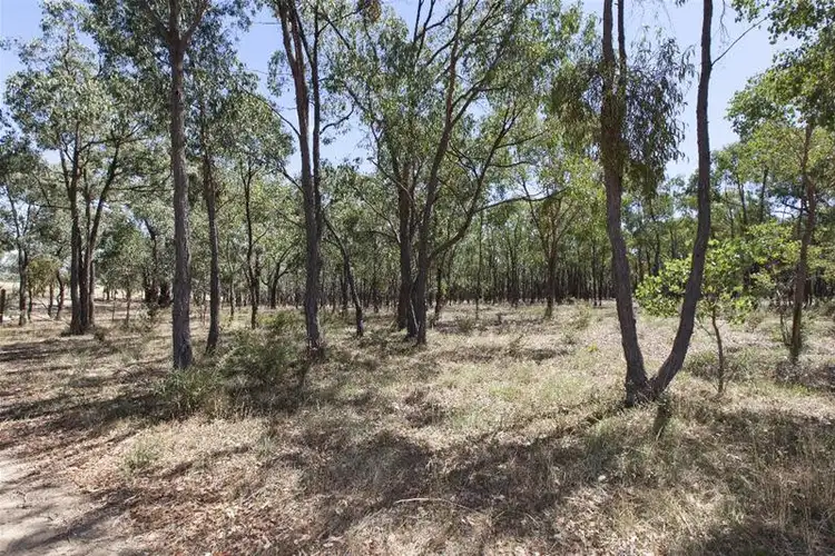 Sixth view of Homely rural property listing, 162 Stewart Road, Barkly VIC 3384
