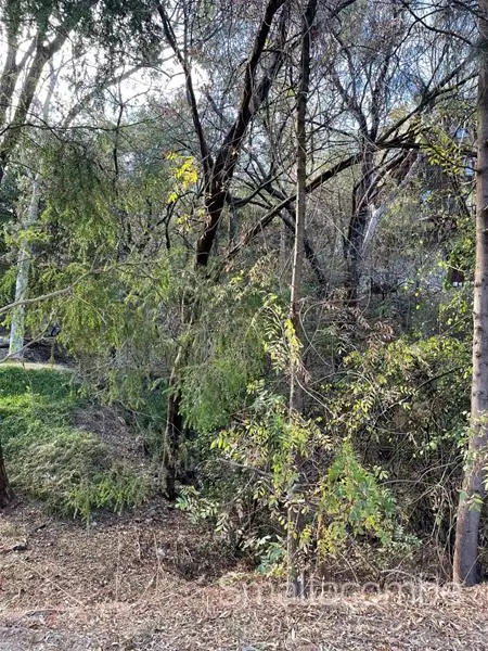 Second view of Homely land listing, 50 Gum Grove, Belair SA 5052