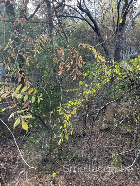 Fourth view of Homely land listing, 50 Gum Grove, Belair SA 5052