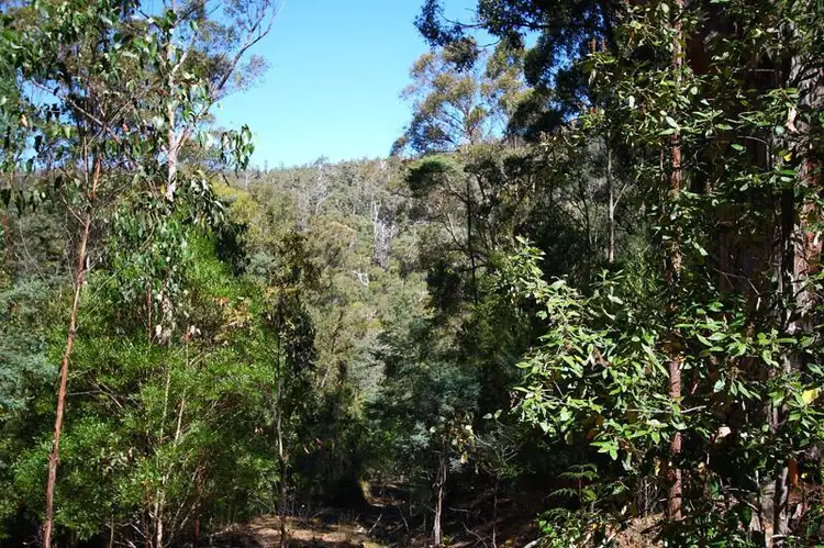 Main view of Homely land listing, 2 Lucas Road, Lucaston TAS 7109