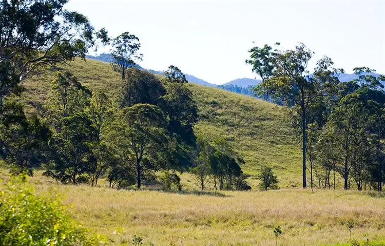 Lot 161 Nathanvale Drive, Mount Nathan QLD 4211