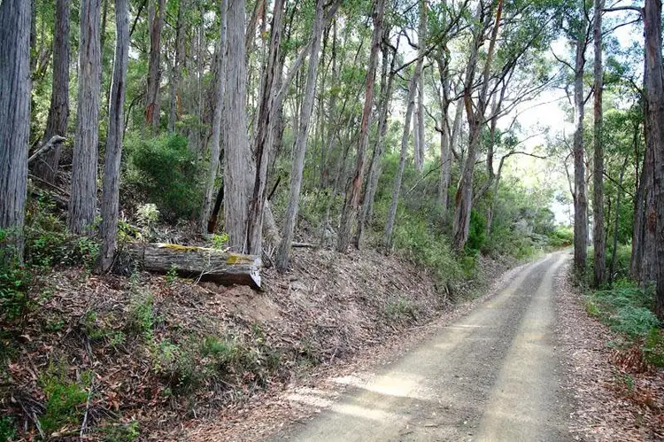 Second view of Homely land listing, 1 Hastings Bay Esplanade, Hastings TAS 7109