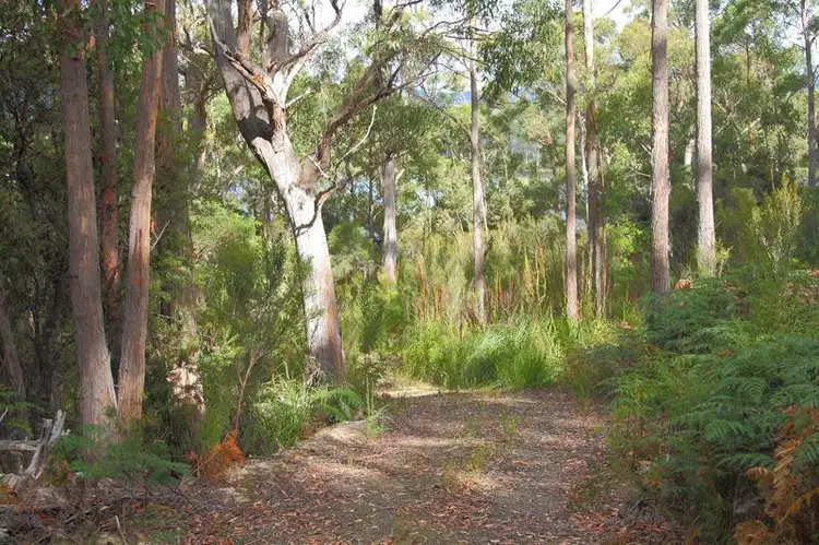 Third view of Homely land listing, 1 Hastings Bay Esplanade, Hastings TAS 7109