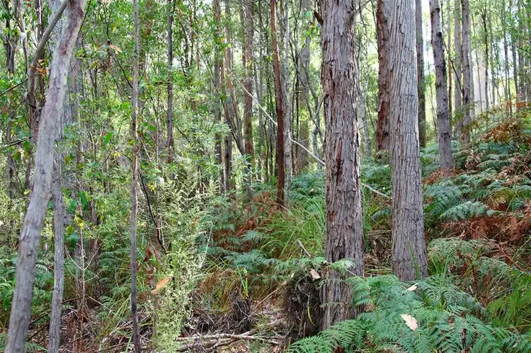Fourth view of Homely land listing, 1 Hastings Bay Esplanade, Hastings TAS 7109