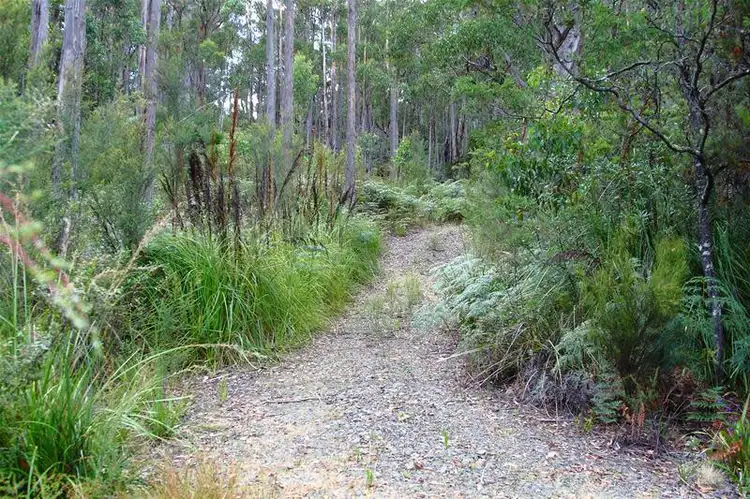 Seventh view of Homely land listing, 1 Hastings Bay Esplanade, Hastings TAS 7109