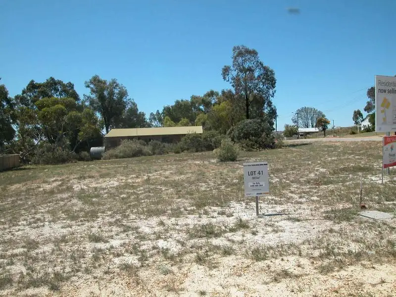 Main view of Homely land listing, 17 Lang Street, Badgingarra WA 6521