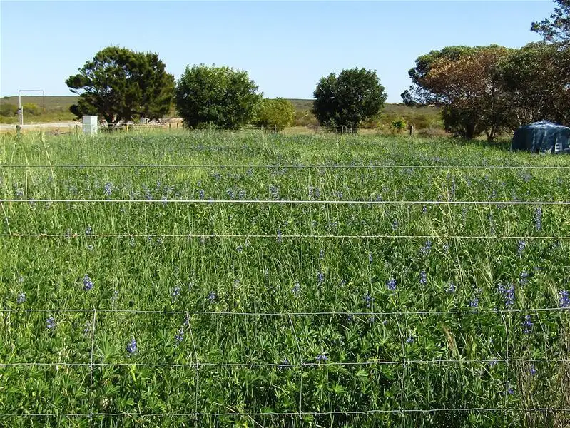 Main view of Homely land listing, L107 Ocean View Parade, Jurien Bay WA 6516