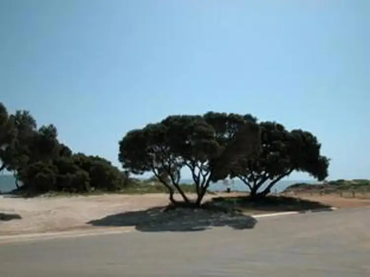 Second view of Homely land listing, Lot 701 Dee Street, Leeman WA 6514