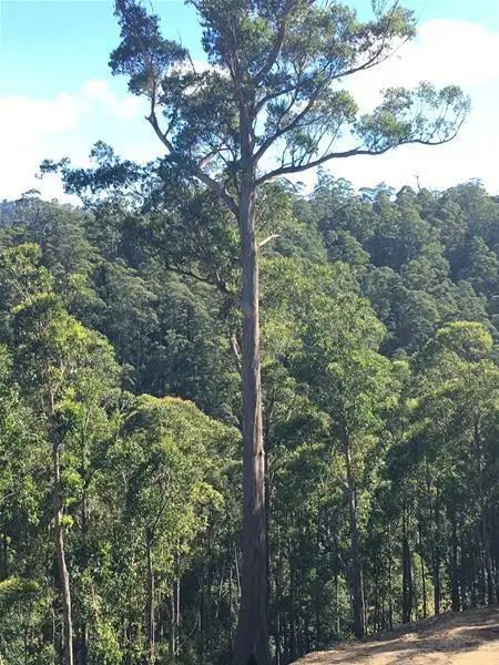 Fifth view of Homely land listing, 1/1145 Pelverata Road, Pelverata TAS 7150