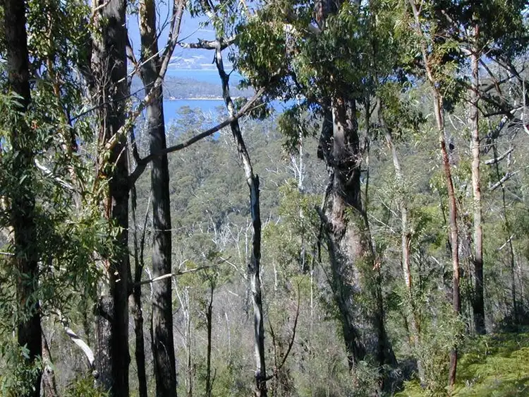 Fifth view of Homely land listing, 228580/1 Off Police Point Road, Glendevie TAS 7109