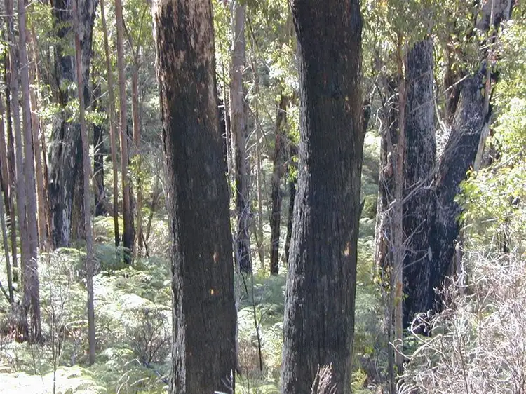 Seventh view of Homely land listing, 228580/1 Off Police Point Road, Glendevie TAS 7109