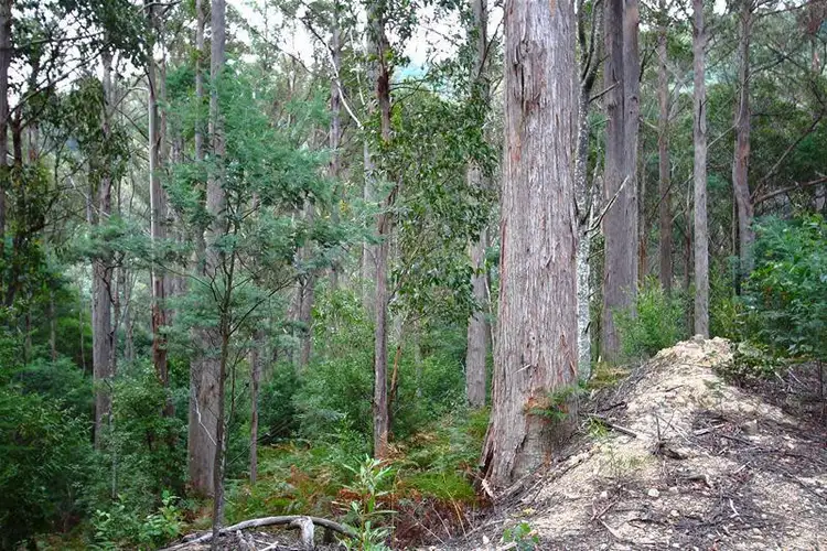 Sixth view of Homely land listing, 204260/1 Bakers Creek Road, Lucaston TAS 7109