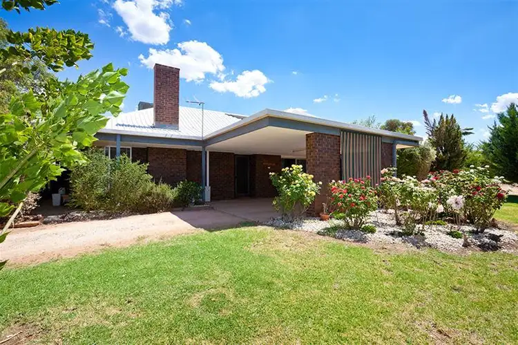Main view of Homely house listing, 59 McCarthys Road, Merbein South VIC 3505