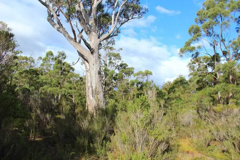 Main view of Homely land listing, 210863/1 Hastings Bay Esplanade, Hastings TAS 7109