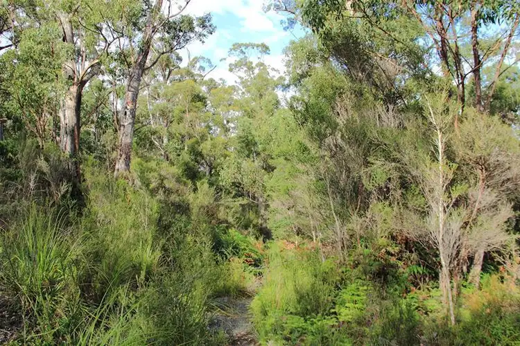 Fourth view of Homely land listing, 210863/1 Hastings Bay Esplanade, Hastings TAS 7109