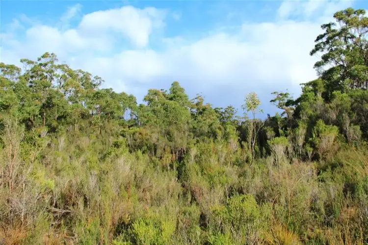 Fifth view of Homely land listing, 210863/1 Hastings Bay Esplanade, Hastings TAS 7109