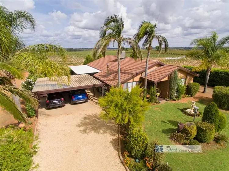 Main view of Homely house listing, 14 Bombala Road, Dareton NSW 2717