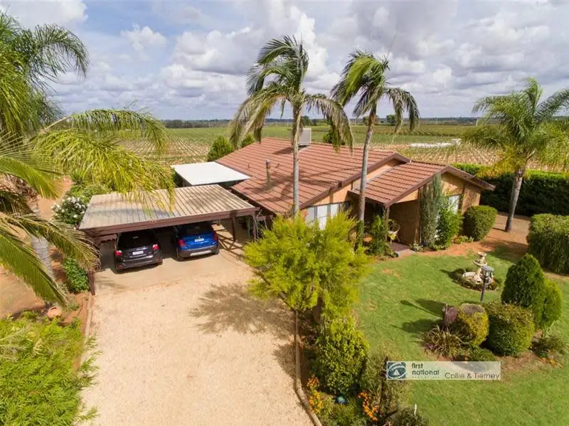 Main view of Homely house listing, 14 Bombala Road, Dareton NSW 2717