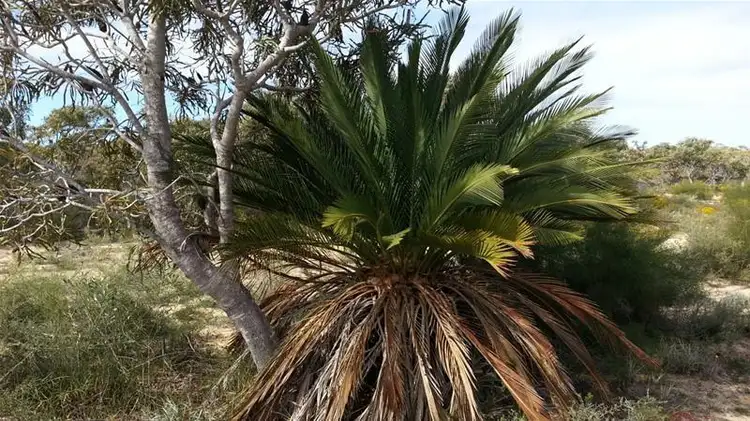 Fifth view of Homely land listing, 162 Jurien Bay Vista, Jurien Bay WA 6516