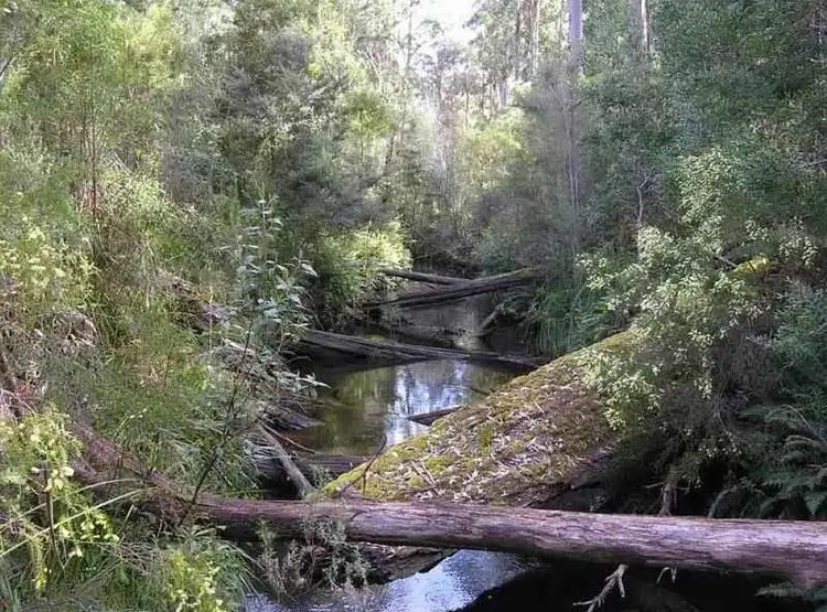 Second view of Homely land listing, Huon Highway, Strathblane TAS 7109