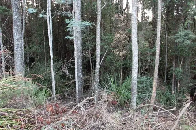 Fourth view of Homely land listing, Huon Highway, Strathblane TAS 7109