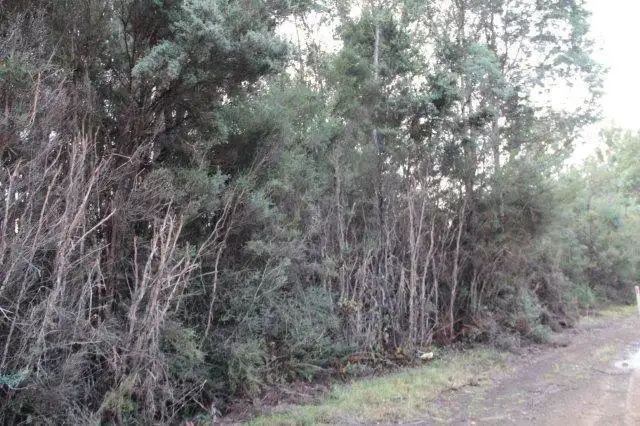 Fifth view of Homely land listing, Huon Highway, Strathblane TAS 7109