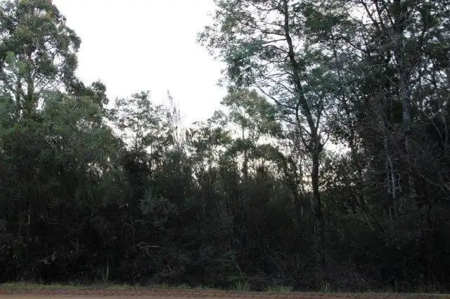Seventh view of Homely land listing, Huon Highway, Strathblane TAS 7109