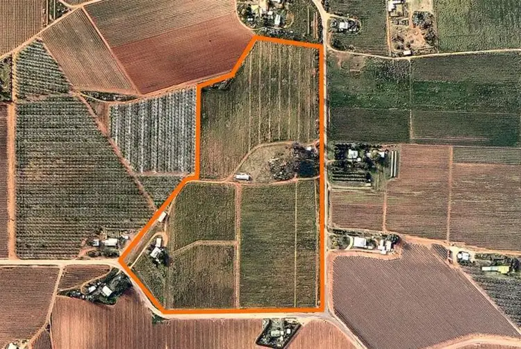 Fifth view of Homely house listing, 173 Dumosa Street, Red Cliffs VIC 3496