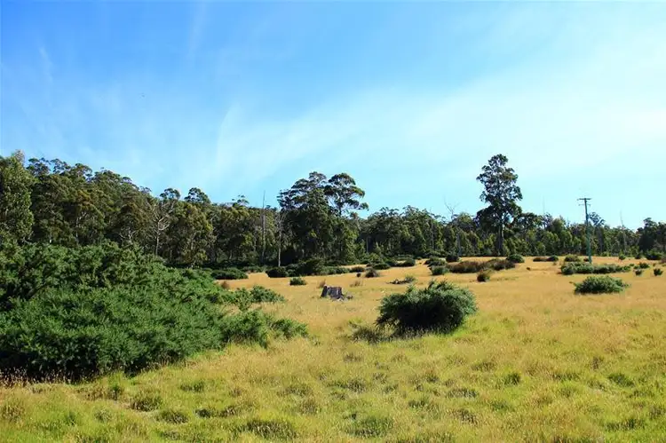 Fifth view of Homely land listing, Cygnet Coast Road, Petcheys Bay TAS 7109